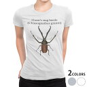 tシャツ レディース 半袖 白地 デザイン S M L XL Tシャツ ティーシャツ T shirt 020003 チリクワガタ(4)