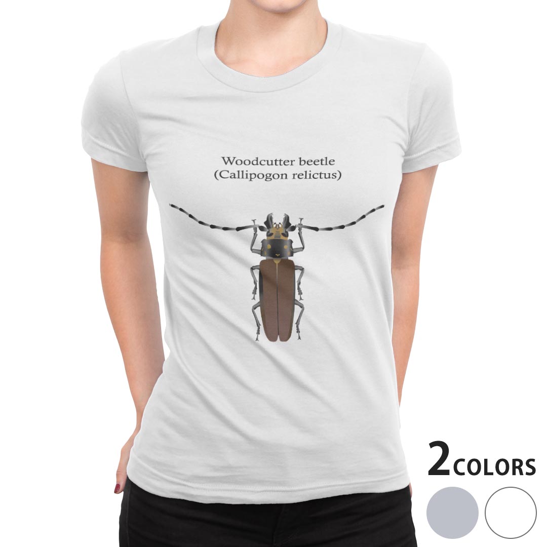 tシャツ レディース 半袖 白地 デザイン S M L XL Tシャツ ティーシャツ T shirt 020010 虫 ウッドカッ..