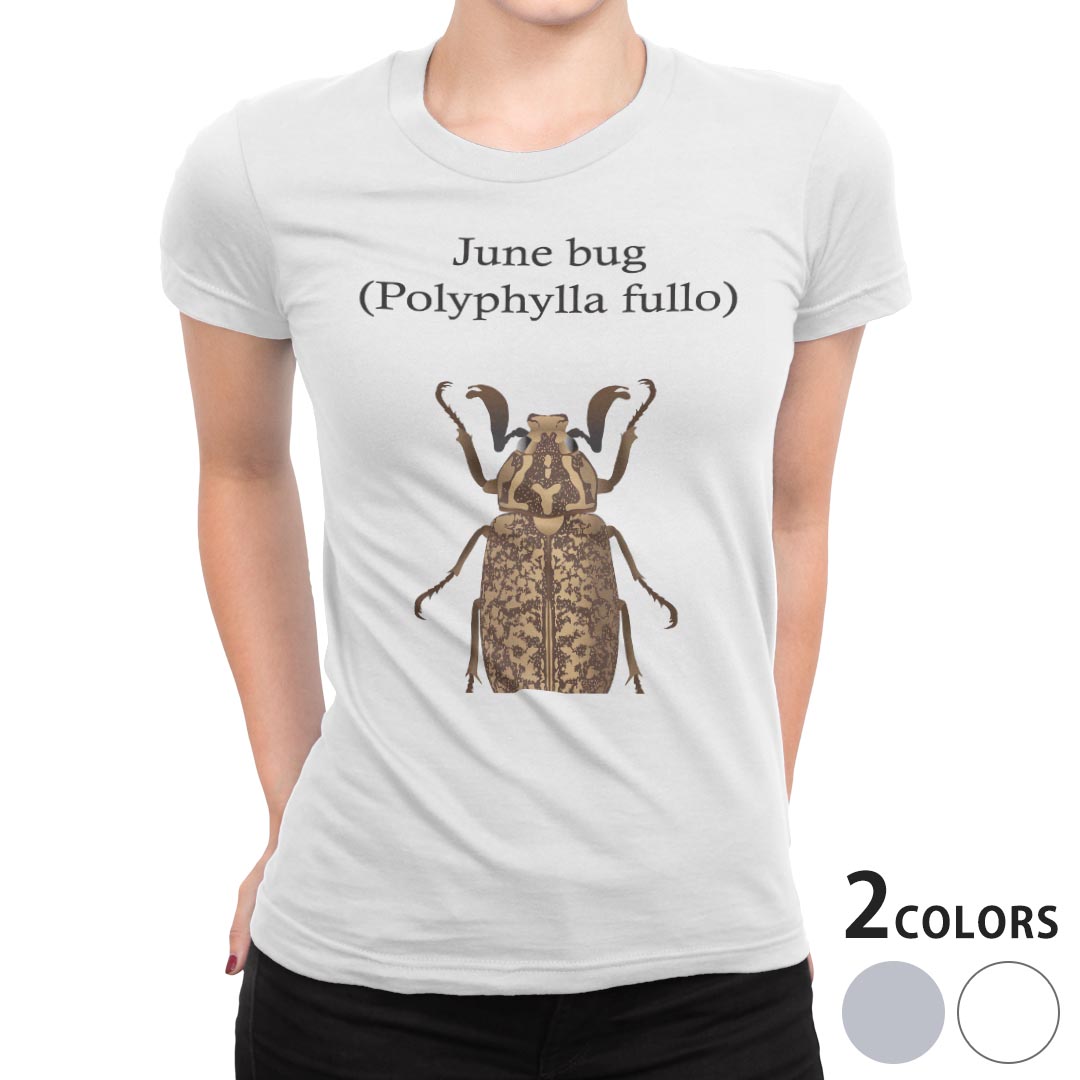 tシャツ レディース 半袖 白地 デザイン S M L XL Tシャツ ティーシャツ T shirt 020014 虫 polyphylla fullo ヒゲコガネ