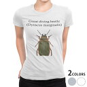 tシャツ レディース 半袖 白地 デザイン S M L XL Tシャツ ティーシャツ T shirt 020026 虫 great diving beetle エゾゲンゴロウ(4)