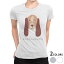 tシャツ レディース 半袖 白地 デザイン S M L XL Tシャツ ティーシャツ T shirt 022605 犬 ブラッドハウンド 1,780円