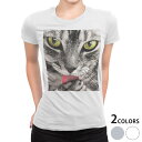 tシャツ レディース 半袖 白地 デザイン S M L XL Tシャツ ティーシャツ T shirt 023078 猫 ねこ 動物 写真(4)
