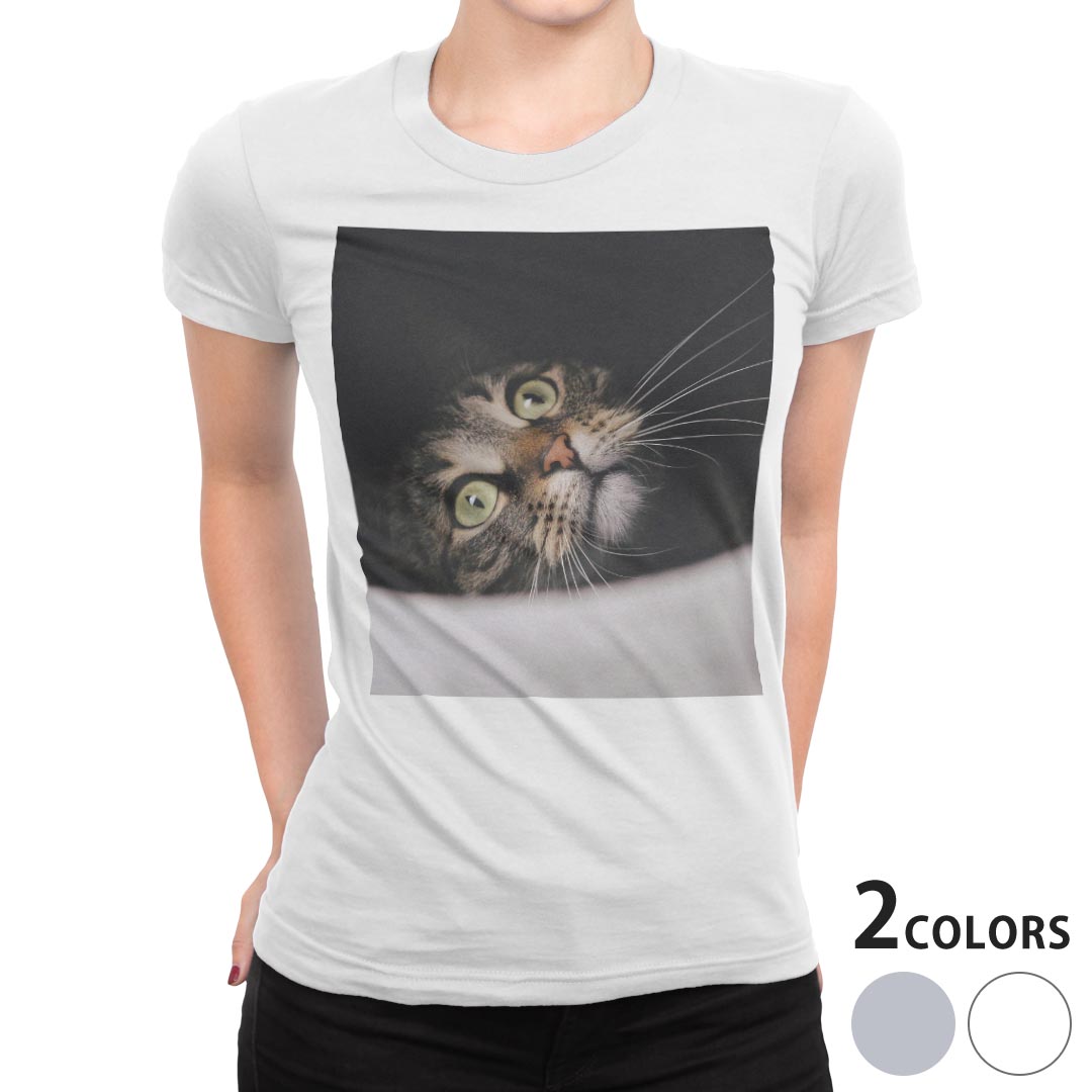 tシャツ レディース 半袖 白地 デザイン S M L XL Tシャツ ティーシャツ T shirt 023089 猫 ねこ 動物 写真