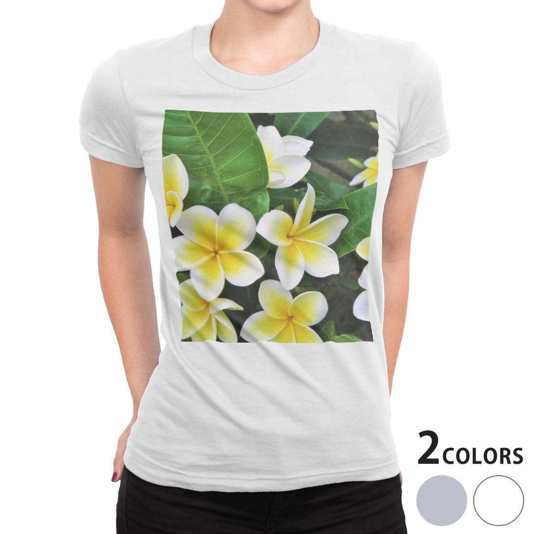 tシャツ レディース 半袖 白地 デザイン S M L XL Tシャツ ティーシャツ T shirt 023320 花　フラワー　プルメリア