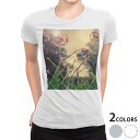 tシャツ レディース 半袖 白地 デザイン S M L XL Tシャツ ティーシャツ T shirt 023404 しゃぼん玉 景色