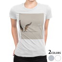 tシャツ レディース 半袖 白地 デザイン S M L XL Tシャツ ティーシャツ T shirt 023705 うさぎ 動物