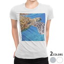 tシャツ レディース 半袖 白地 デザイン S M L XL Tシャツ ティーシャツ T shirt 023782 カメ 海 写真(4)