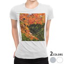 tシャツ レディース 半袖 白地 デザイン M L 白 ホワイト グレー Tシャツ ティーシャツ T shirt 004615 写真・風景 紅葉 秋 風景