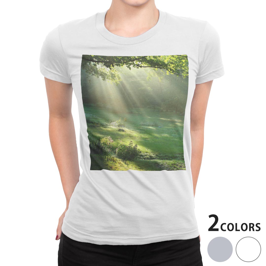 tシャツ レディース 半袖 白地 デザイン S M L XL Tシャツ ティーシャツ T shirt 004644 写真・風景 森　写真　景色