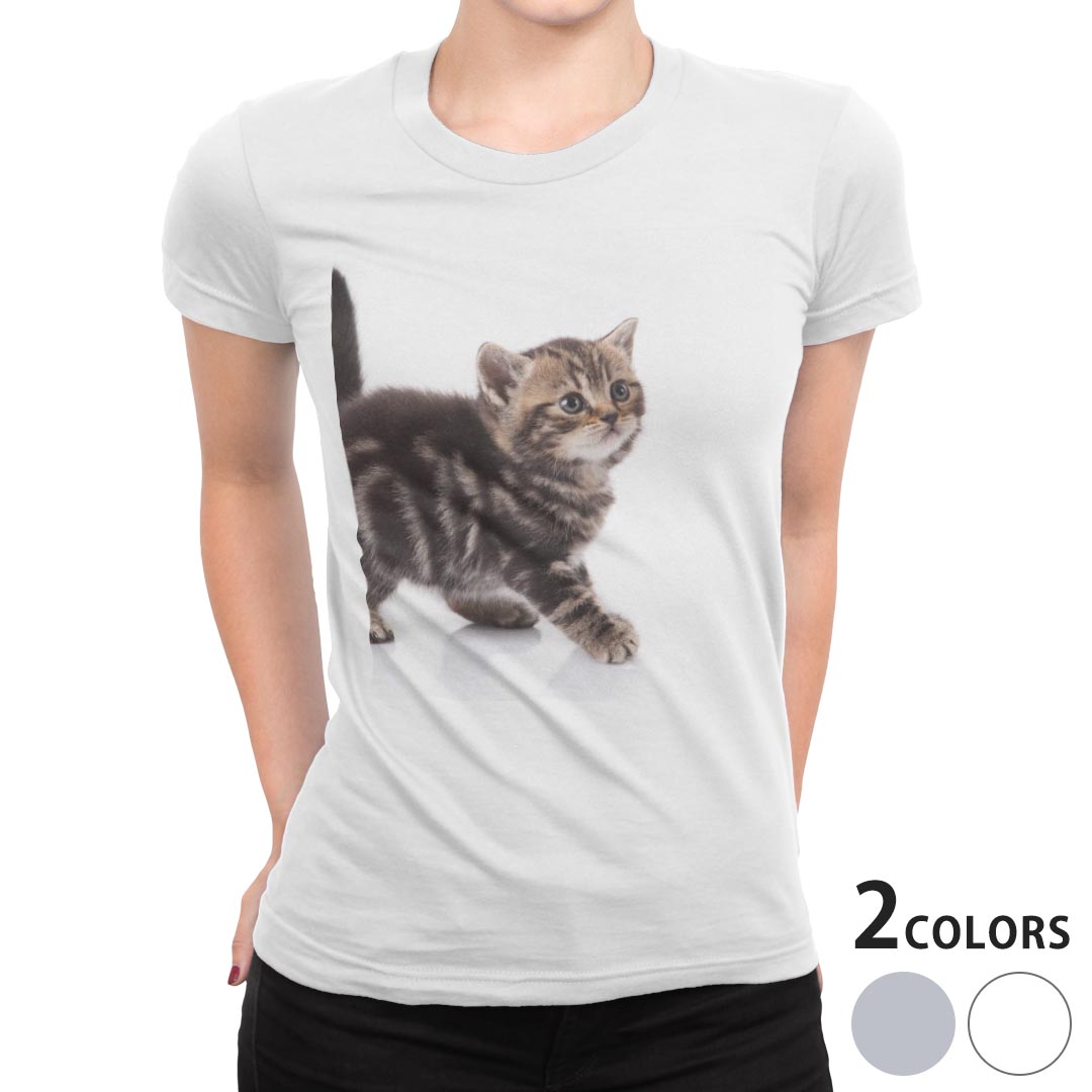tシャツ レディース 半袖 白地 デザイン M L 白 ホワイト グレー Tシャツ ティーシャツ T shirt 005930 アニマル 写真・風景 写真　動物　猫　ねこ(4.0)
