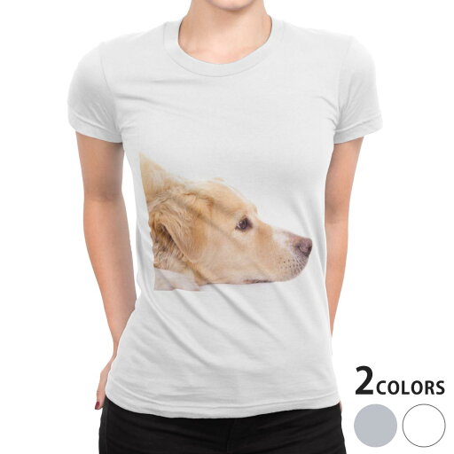 tシャツ レディース 半袖 白地 デザイン M L 白 ホワイト グレー Tシャツ ティーシャツ T shirt 006630 写真・風景 写真 犬 動物 tシャツ レディース 半袖 白地 デザイン M L 白 ホワイト グレー Tシャツ ティーシャツ T shirt 006630 写真・風景 写真 犬 動物