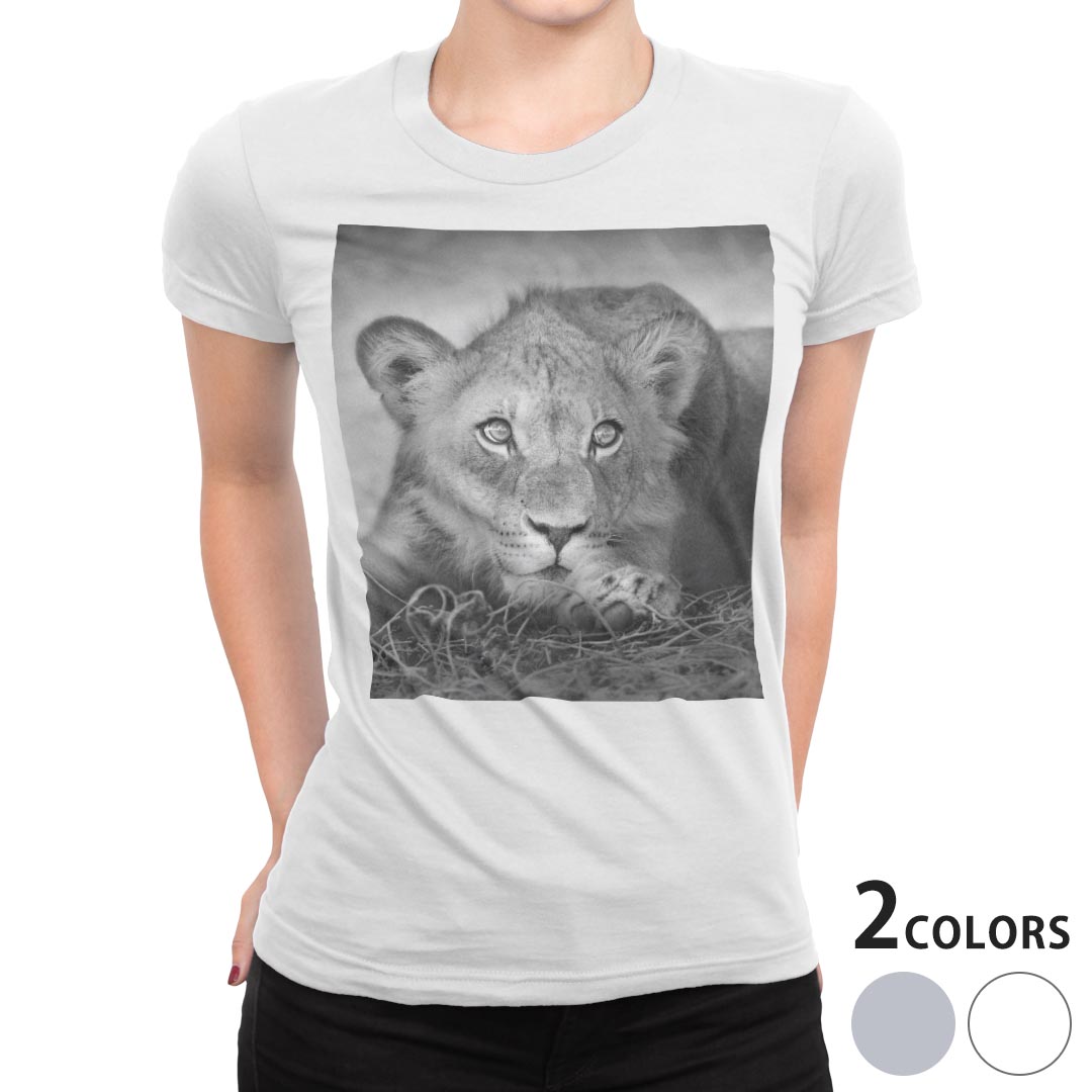 tシャツ レディース 半袖 白地 デザイン M L 白 ホワイト グレー Tシャツ ティーシャツ T shirt 007626 アニマル 写真 モノクロ ライオン