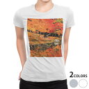 tシャツ レディース 半袖 白地 デザイン M L 白 ホワイト グレー Tシャツ ティーシャツ T shirt 008505 写真・風景 写真 秋 紅葉 川