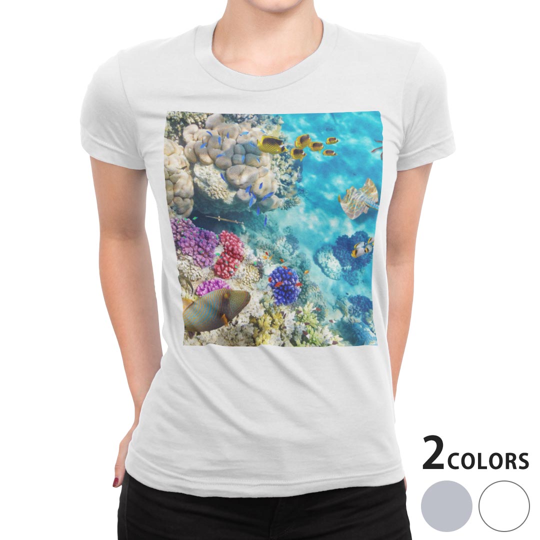 tシャツ レディース 半袖 白地 デザイン S M L XL Tシャツ ティーシャツ T shirt 008923 写真・風景 写真　魚　海　珊瑚