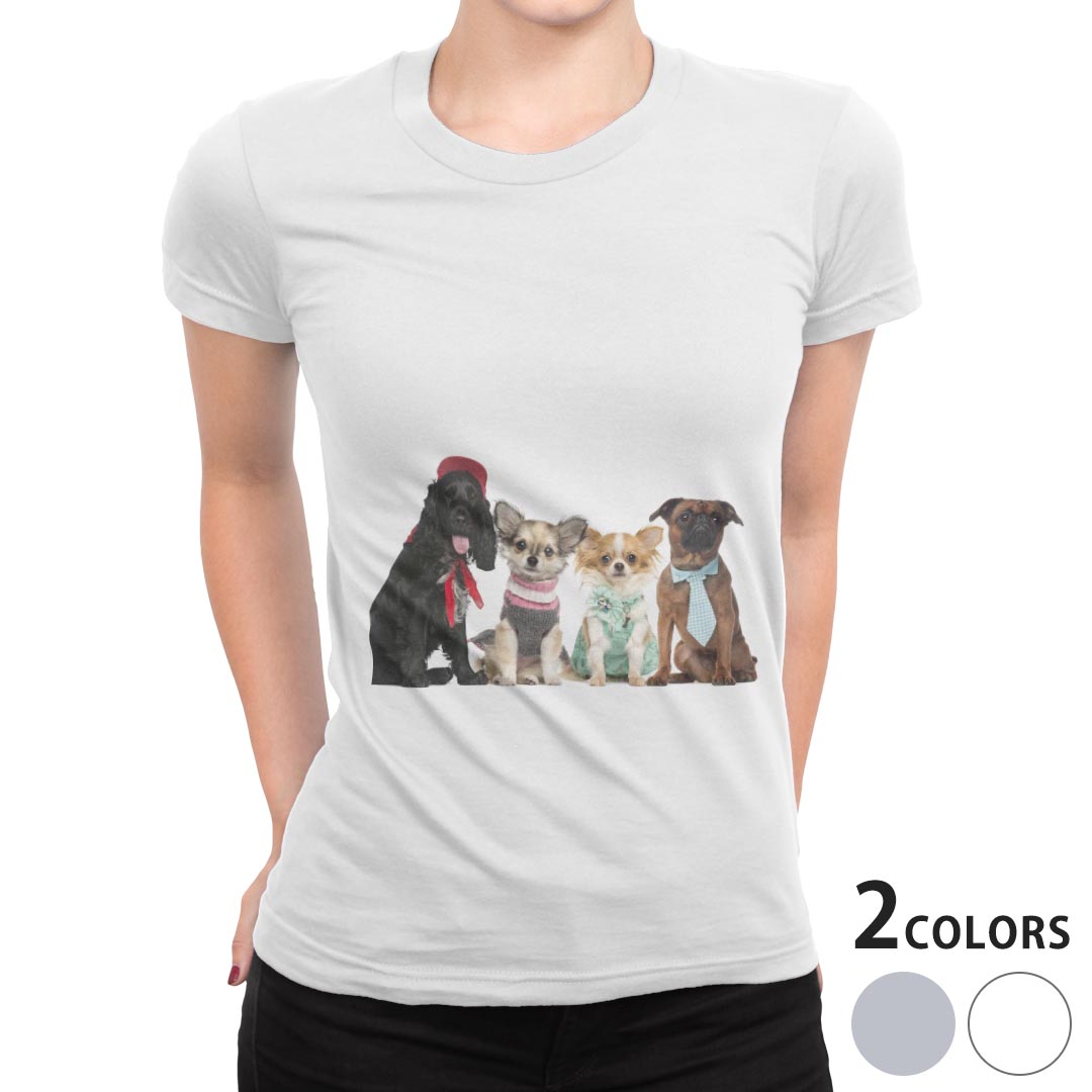 tシャツ レディース 半袖 白地 デザイン S M L XL Tシャツ ティーシャツ T shirt 009810 動物　犬　写真