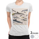tシャツ レディース 半袖 白地 デザイン M L 白 ホワイト グレー Tシャツ ティーシャツ T shirt 010935 海 イルカ 生き物(4)