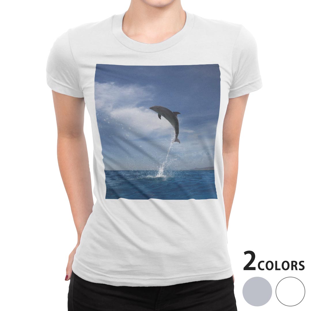 tシャツ レディース 半袖 白地 デザイン S M L XL Tシャツ ティーシャツ T shirt 010965 海　イルカ　写真