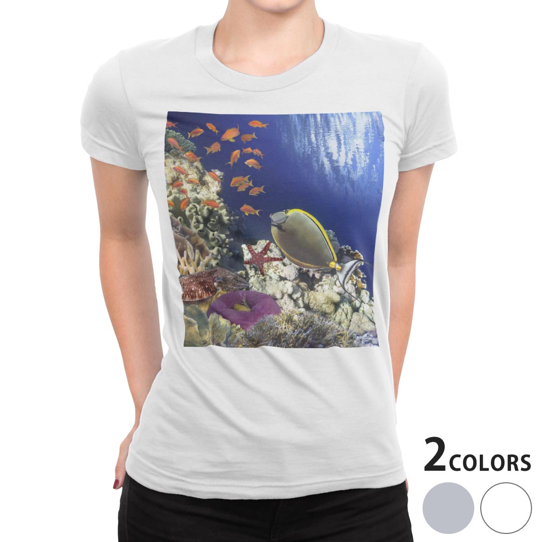 tシャツ レディース 半袖 白地 デザイン S M L XL Tシャツ ティーシャツ T shirt 011673 海　魚　珊瑚
