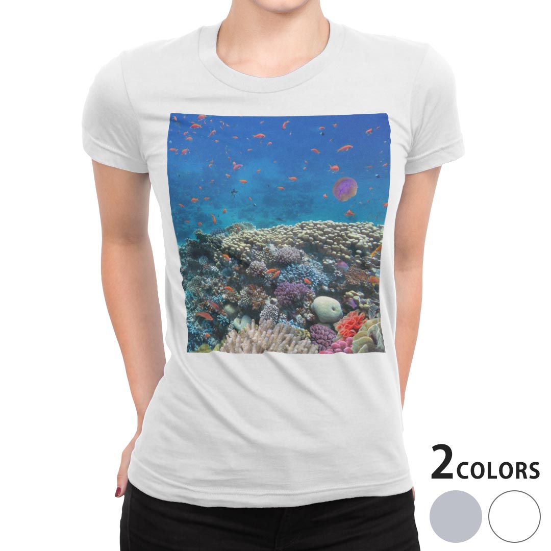 tシャツ レディース 半袖 白地 デザイン S M L XL Tシャツ ティーシャツ T shirt 011697 海　珊瑚　写真