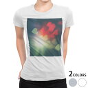 tシャツ レディース 半袖 白地 デザイン M L 白 ホワイト グレー Tシャツ ティーシャツ T shirt 012625 ハート 写真 光(4)