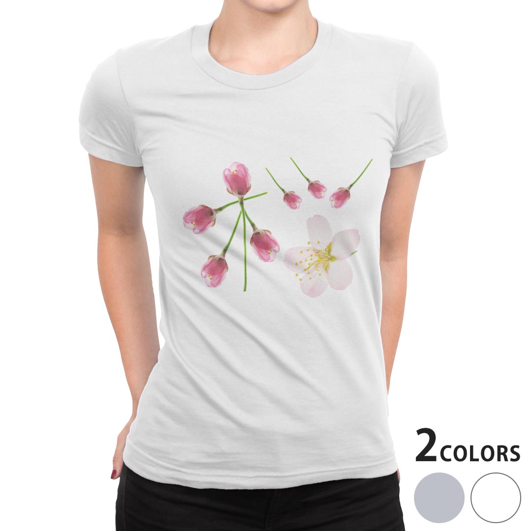 tシャツ レディース 半袖 白地 デザイン M L 白 ホワイト グレー Tシャツ ティーシャツ T shirt 012850 桜 花 春