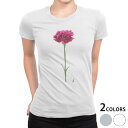 tシャツ レディース 半袖 白地 デザイン M L 白 ホワイト グレー Tシャツ ティーシャツ T shirt 012933 母の日 カーネーション 花