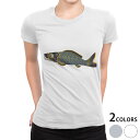 tシャツ レディース 半袖 白地 デザイン M L 白 ホワイト グレー Tシャツ ティーシャツ T shirt 013188 鯉 魚 こいのぼり