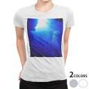 tシャツ レディース 半袖 白地 デザイン M L 白 ホワイト グレー Tシャツ ティーシャツ T shirt 014468 海 深海 写真(4)