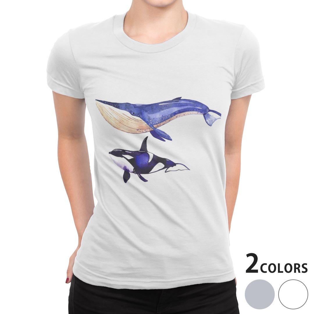 tシャツ レディース 半袖 白地 デザイン S M L XL Tシャツ ティーシャツ T shirt 014703 海　イルカ　クジラ