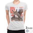 tシャツ レディース 半袖 白地 デザイン M L 白 ホワイト グレー Tシャツ ティーシャツ T shirt 014830 冬 動物 リス 紅葉