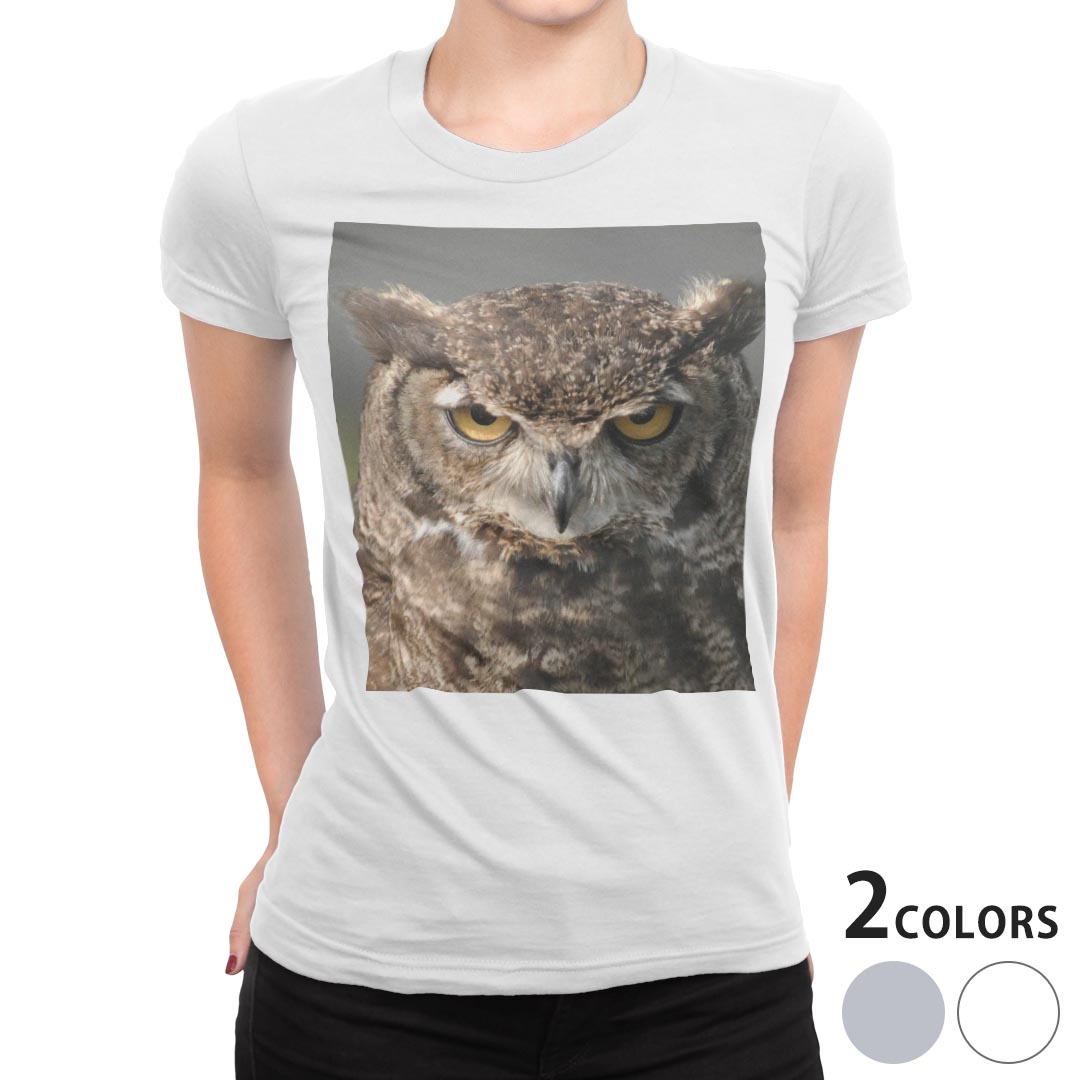 Ｔシャツ・カットソー