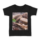 tシャツ キッズ 半袖 黒地 ブラック デザイン 90 100 110 120 130 140 150 160 Tシャツ ティーシャツ T shirt 001014 マカロン チョコレート