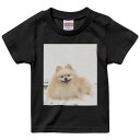 tシャツ キッズ 半袖 黒地 ブラック デザイン 90 100 110 120 130 140 150 160 Tシャツ ティーシャツ T shirt 002912 犬 動物 写真(4)