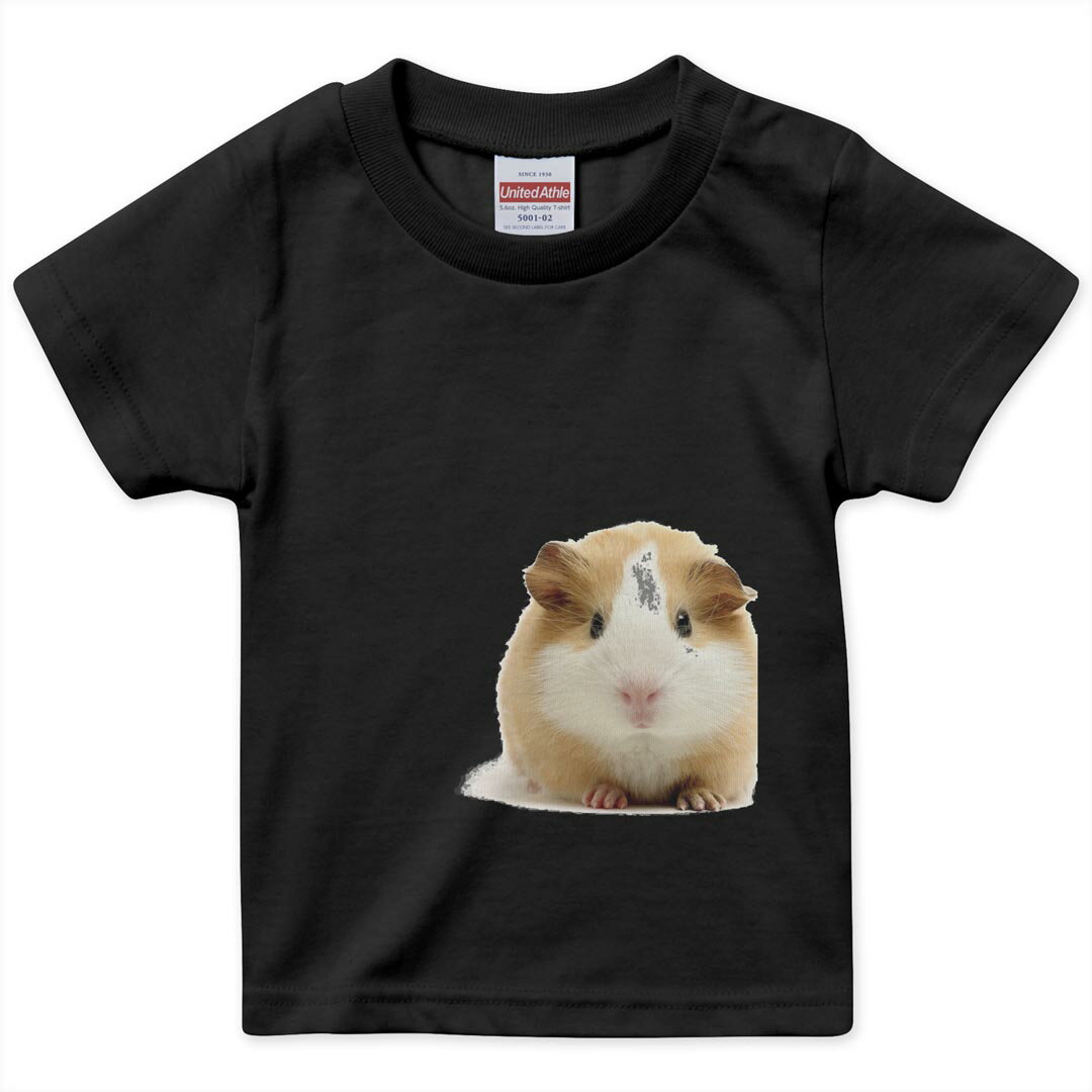 tシャツ キッズ 半袖 黒地 ブラック デザイン 90 100 110 120 130 140 150 160 Tシャツ ティーシャツ T shirt 006036 写真 動物 ハムスター