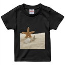 tシャツ キッズ 半袖 黒地 ブラック デザイン 90 100 110 120 130 140 150 160 Tシャツ ティーシャツ T shirt 009536 貝殻 海 写真