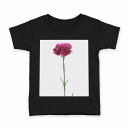 tシャツ キッズ 半袖 黒地 ブラック デザイン 90 100 110 120 130 140 150 160 Tシャツ ティーシャツ T shirt 0129...