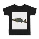 tシャツ キッズ 半袖 黒地 ブラック デザイン 90 100 110 120 130 140 150 Tシャツ ティーシャツ T shirt 013188 鯉 魚 こいのぼり