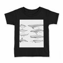 tシャツ キッズ 半袖 黒地 ブラック デザイン 90 100 110 120 130 140 150 Tシャツ ティーシャツ T shirt 015815 魚　クジラ　シャチ