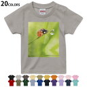 選べる20カラー tシャツ キッズ 半袖 カラー デザイン 90 100 110 120 130 140 150 160 Tシャツ ティーシャツ T shirt 000820 てんとう虫 草(4)