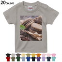 選べる20カラー tシャツ キッズ 半袖 カラー デザイン 90 100 110 120 130 140 150 160 Tシャツ ティーシャツ T shirt 001014 マカロン チョコレート