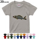 選べる20カラー tシャツ キッズ 半袖 カラー デザイン 90 100 110 120 130 140 150 160 Tシャツ ティーシャツ T shirt...