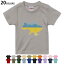 ٤20顼 t å Ⱦµ 顼 ǥ 90 100 110 120 130 140 150 160 T ƥ T shirt018975  ukraine 饤