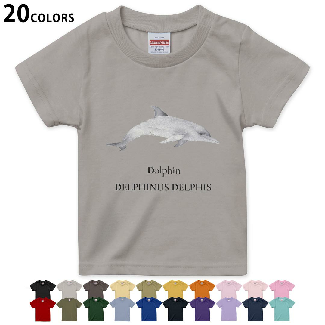 選べる20カラー tシャツ キッズ 半袖 カラー デザイン 90 100 110 120 130 140 150 160 Tシャツ ティーシャツ T shirt　019748 デザイン 海の生物 イルカ dolphin
