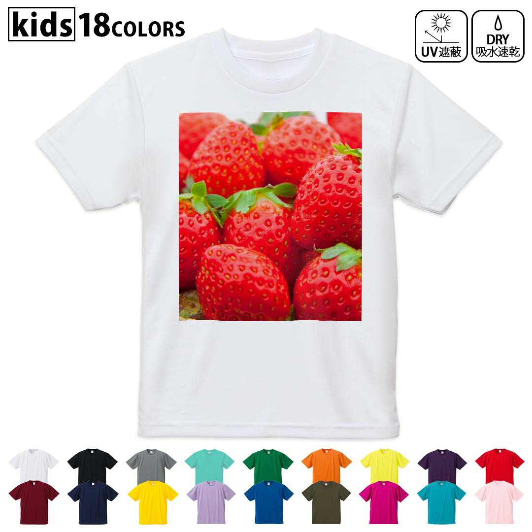 ドライTシャツ 吸水 速乾 DRY 選べる18カラー 4サイズ キッズ 半袖 デザインドライTシャツ スポーツ ゆったり デザイン 120サイズ 130サイズ 140サイズ 150サイズ 160サイズ 000149 苺 いちご 赤 果物