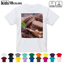 ドライTシャツ 吸水 速乾 DRY 選べる18カラー 4サイズ キッズ 半袖 デザインドライTシャツ スポーツ ゆったり デザイン 120サイズ 130サイズ 140サイズ 150サイズ 160サイズ 001014 マカロン チョコレート