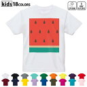ドライTシャツ 吸水 速乾 DRY 選べる18カラー 4サイズ キッズ 半袖 デザインドライTシャツ スポーツ ゆったり デザイン 120サイズ 130サイズ 140サイズ 150サイズ 160サイズ 010433 果物 スイカ 赤 緑