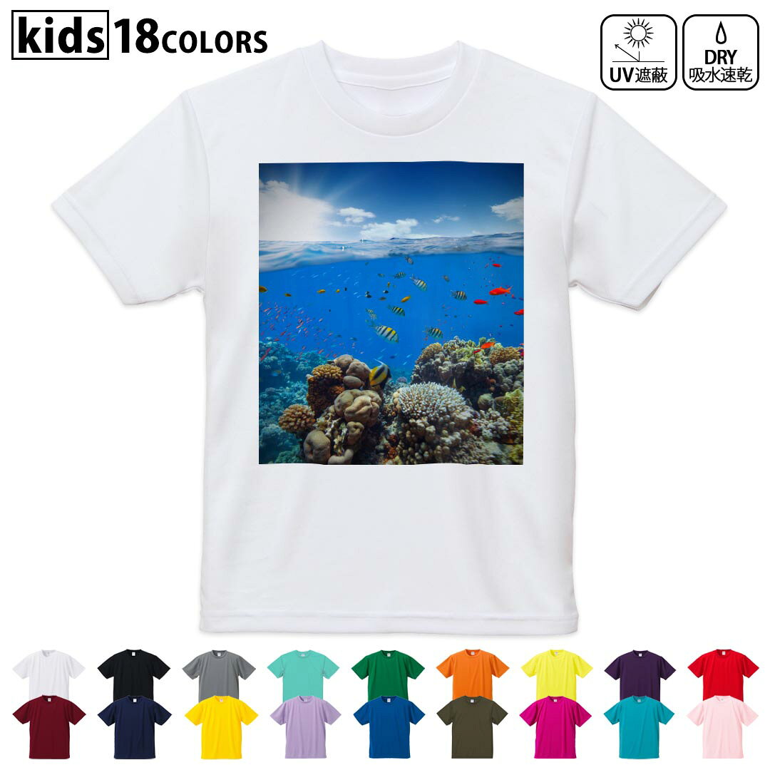 Men's Clothing - ドライTシャツ 吸水 速乾 DRY 選べる18カラー 4サイズ キッズ 半袖 デザインドライTシャツ スポーツ ゆったり デザイン 120サイズ 130サイズ 140サイズ 150サイズ 160サイズ 010920 海　魚　写真