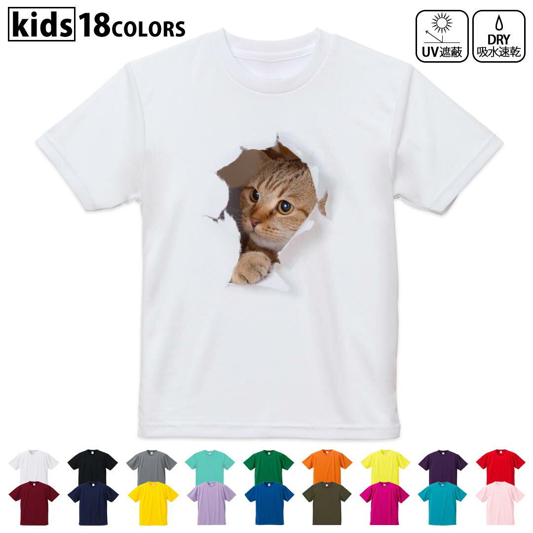 Short Sleeves - ドライTシャツ 吸水 速乾 DRY 選べる18カラー 4サイズ キッズ 半袖 デザインドライTシャツ スポーツ ゆったり デザイン 120サイズ 130サイズ 140サイズ 150サイズ 160サイズ 013566 猫　写真