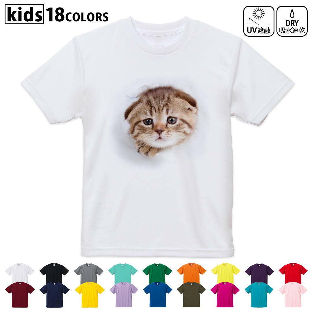 ドライTシャツ 吸水 速乾 DRY 選べる18カラー 4サイズ キッズ 半袖 デザインドライTシャツ スポーツ ゆ..