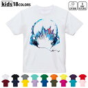 ドライTシャツ 吸水 速乾 DRY 選べる18カラー 4サイズ キッズ 半袖 デザインドライTシャツ スポーツ ゆったり デザイン 120サイズ 130サイズ 140サイズ 150サイズ 160サイズ 014180 ヘッドホン 音楽 風景
